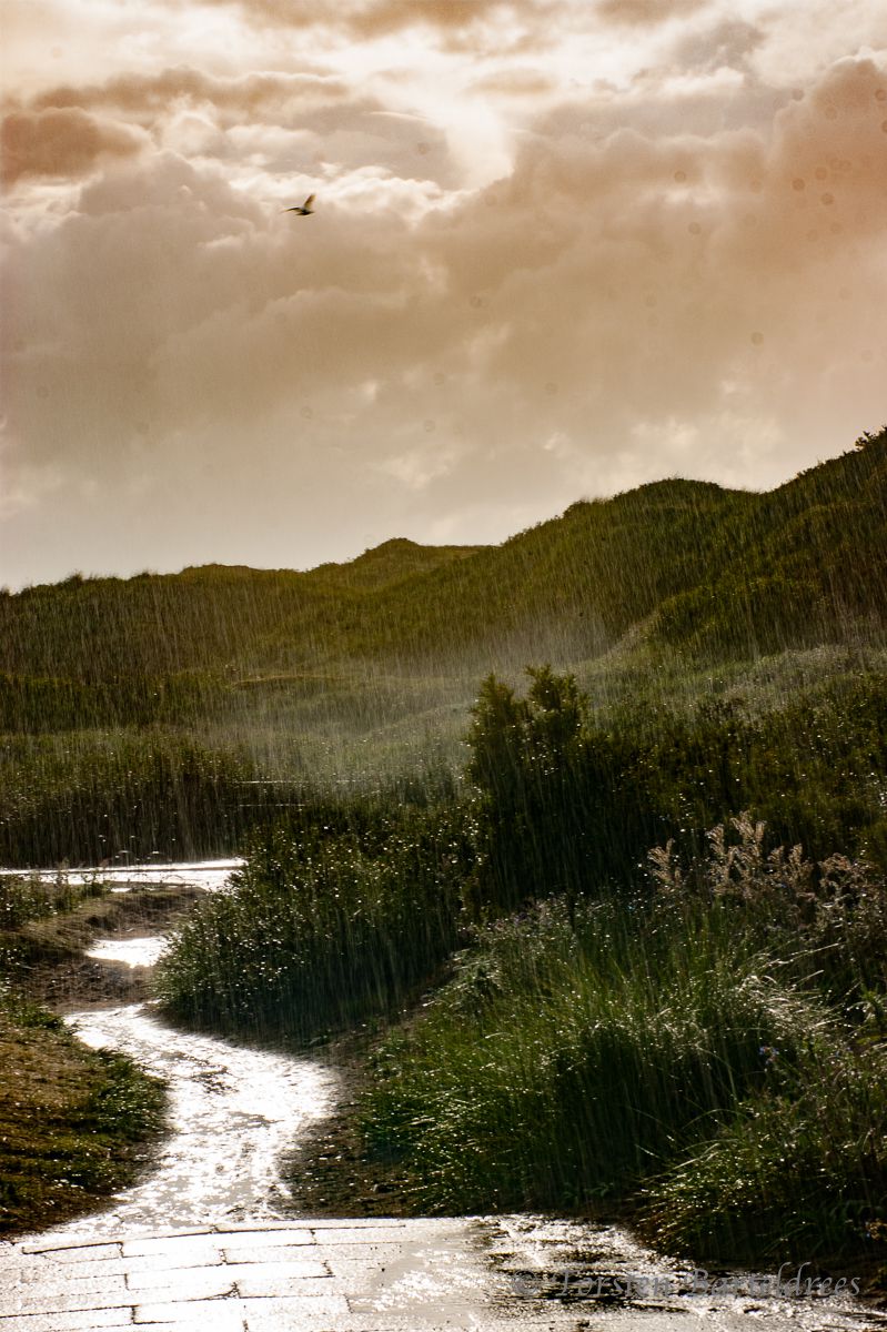 Wanderweg Norderney Dünen bei regen