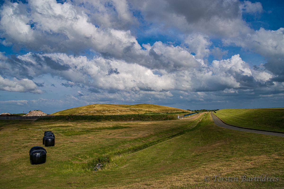 Dünenlandschaft Norderney
