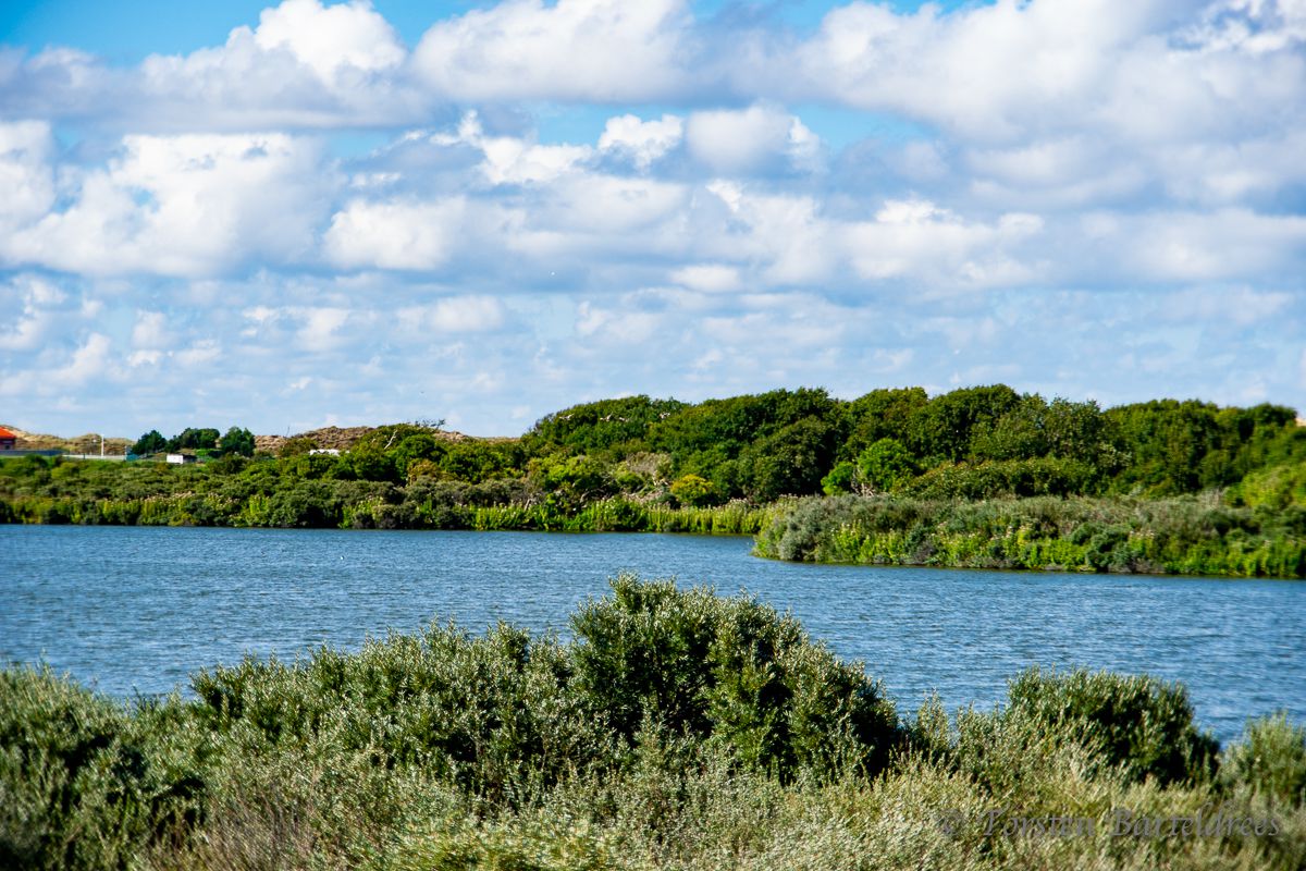 Dünenlandschaft mit See auf Norderney