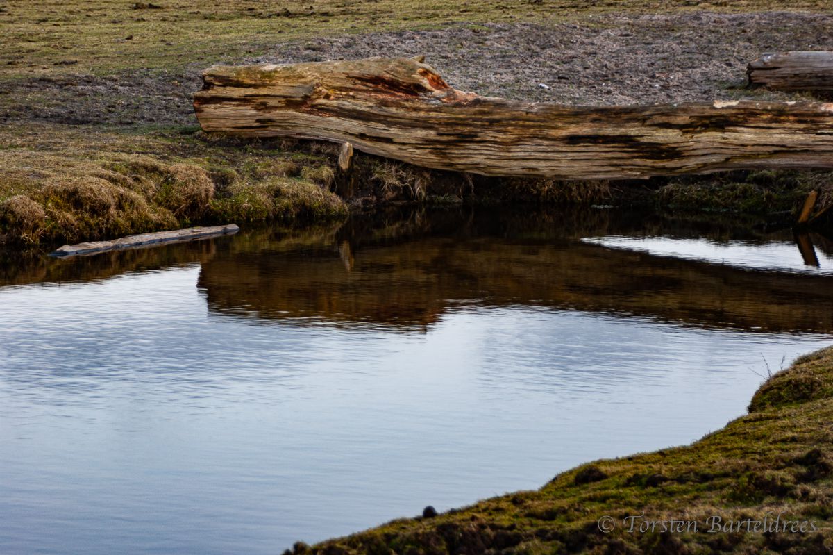 Norderney Pferdewies Schlot WSW Norderney
