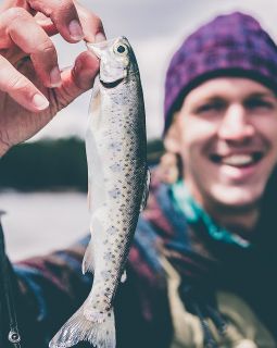 Mann mit einem Hering in der Hand 
